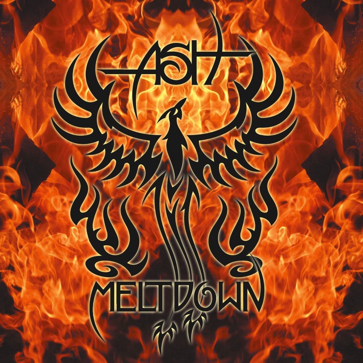 Album cover of Meltdown