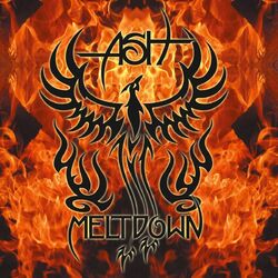 Cover of Meltdown