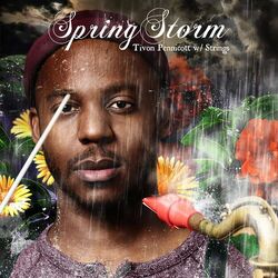 Cover of Spring Storm