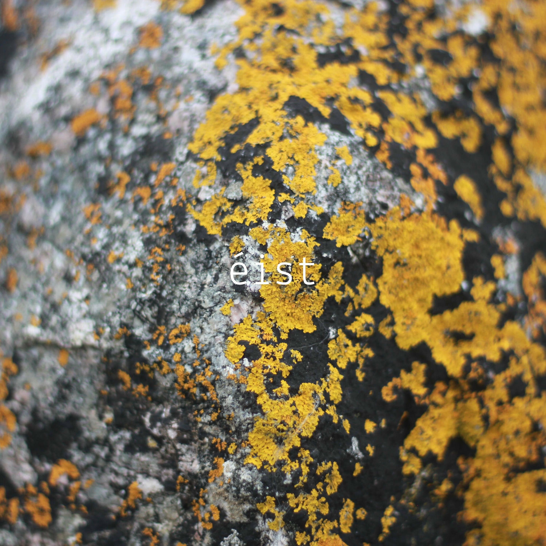 Album cover of éist