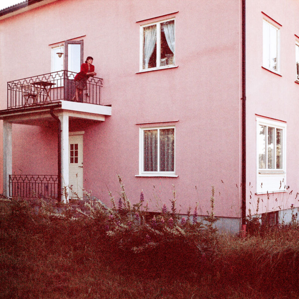 Album cover of Show Talked Windows