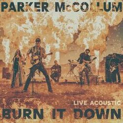 Cover of Burn It Down (Live Acoustic)