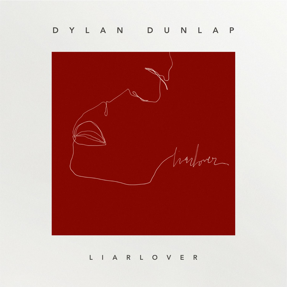 Album cover of LiarLover