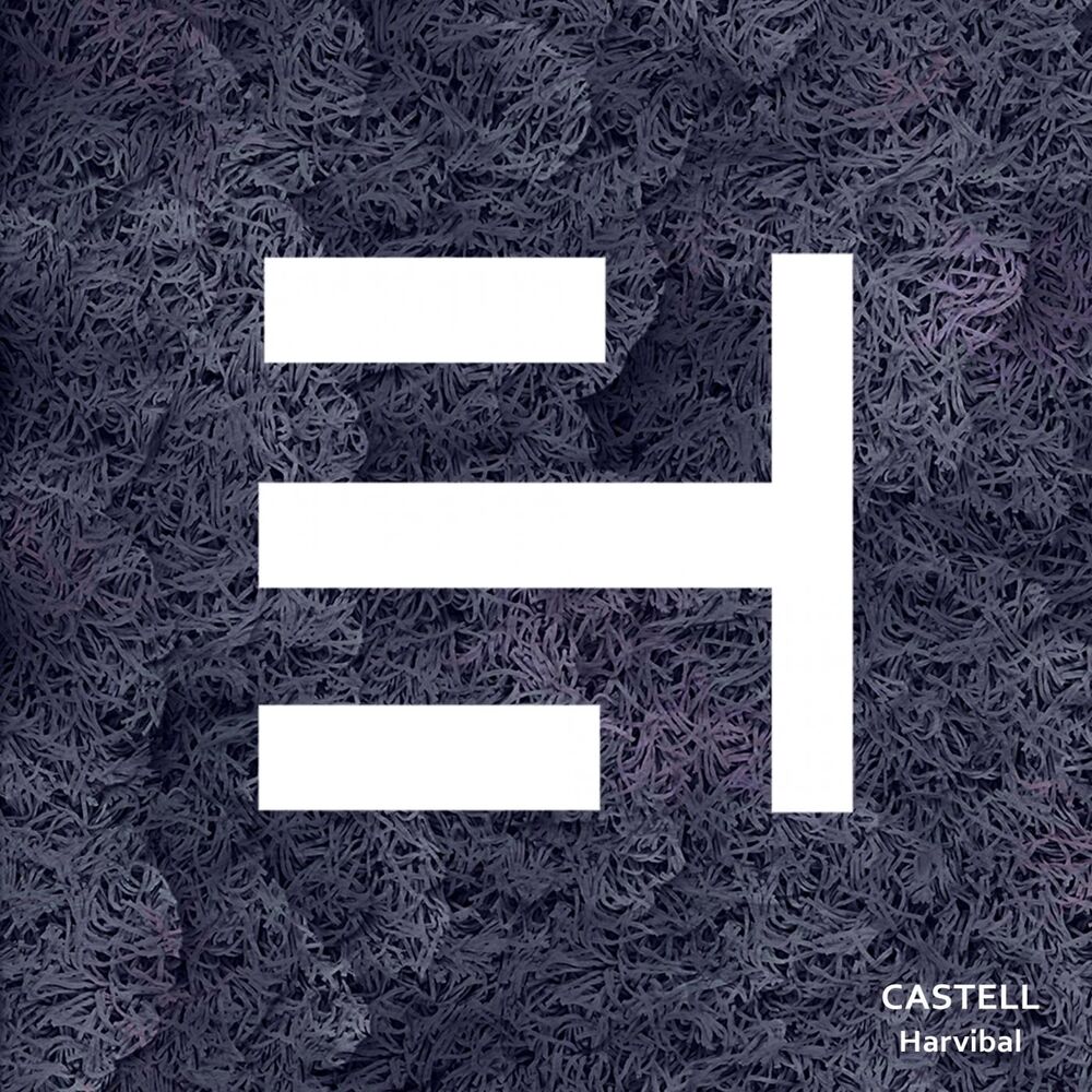 Picture of Castell