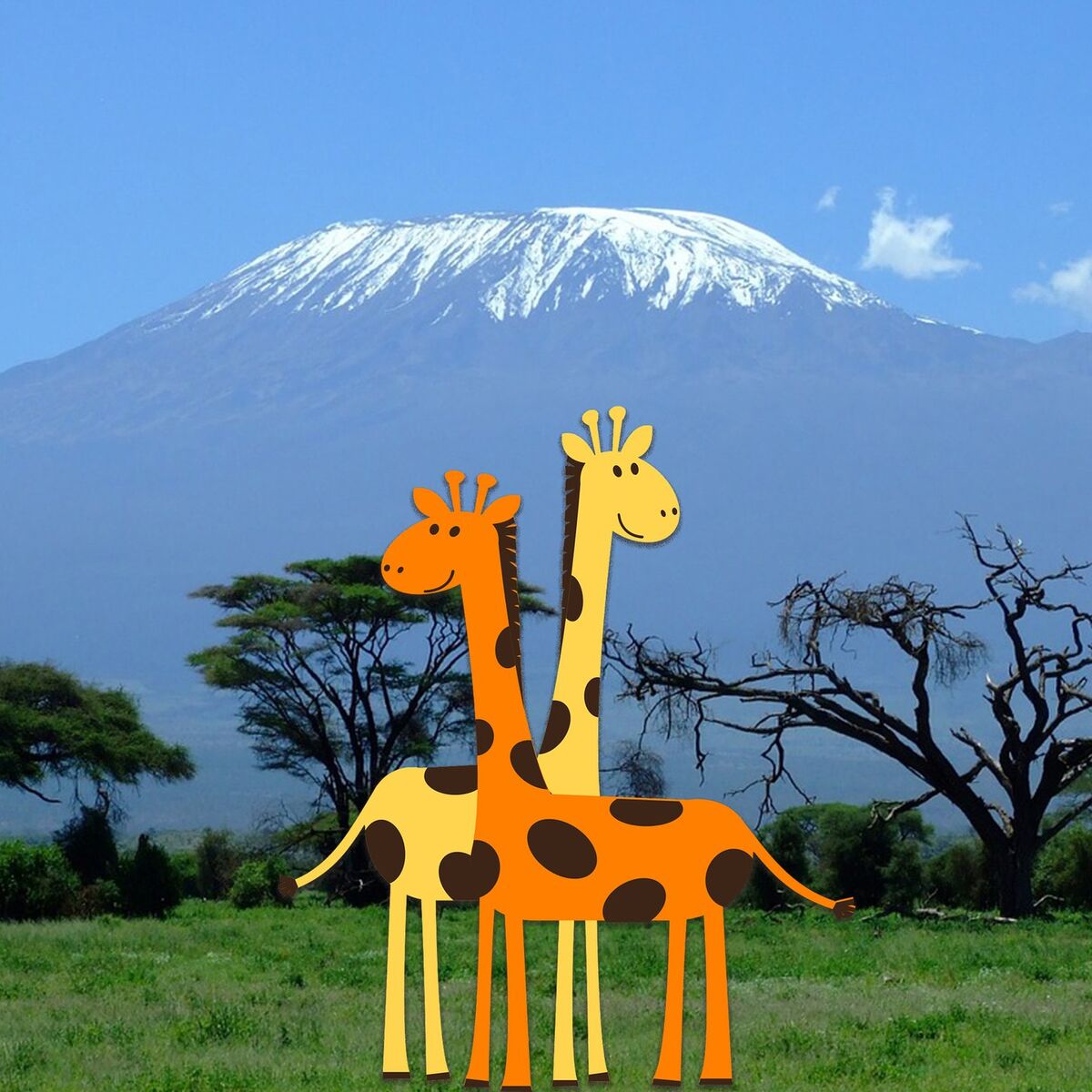 Album cover of Kilimanjaro Ninjas