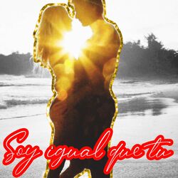 Cover of Soy Igual Que Tu