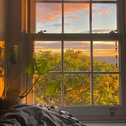 Cover of Good Morning
