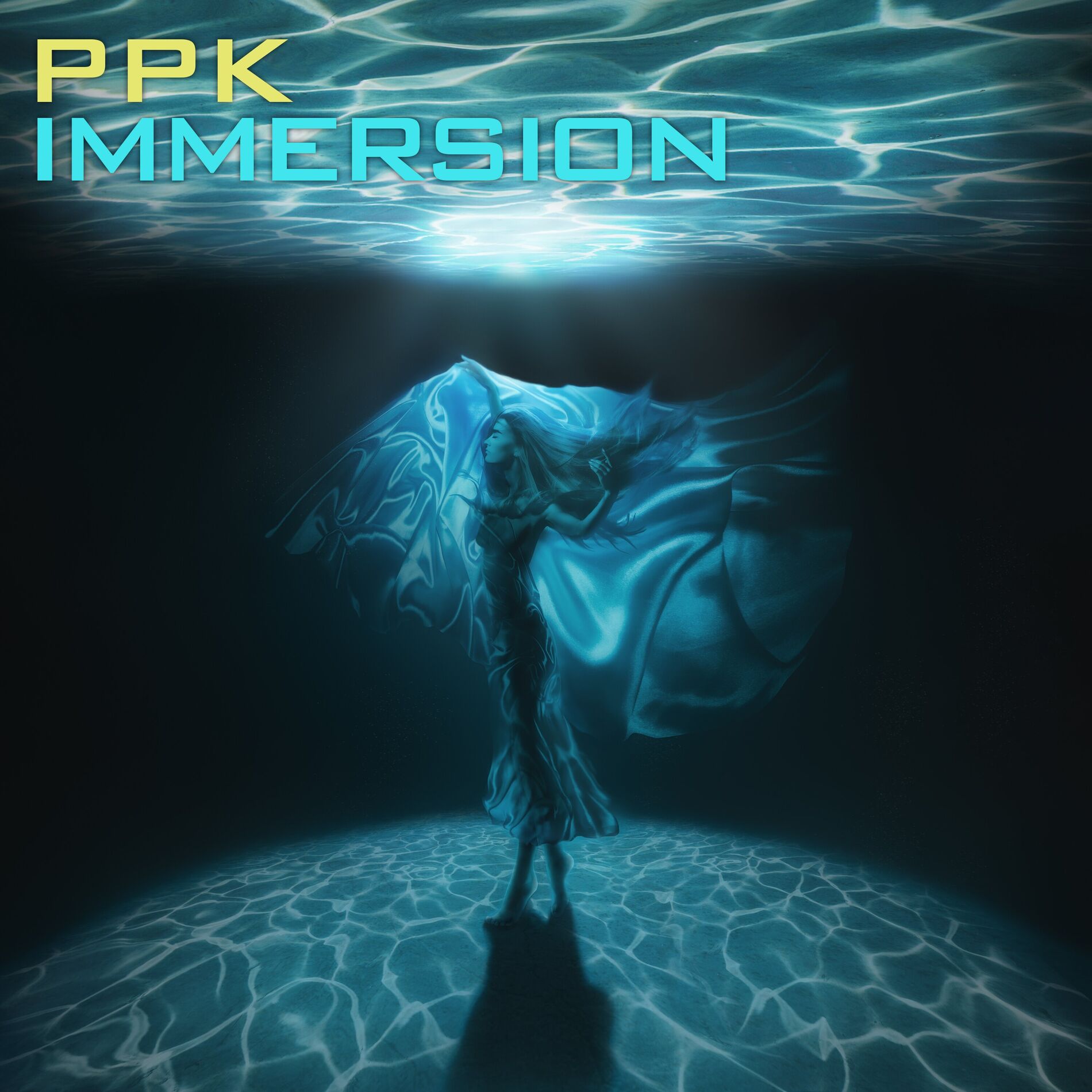Album cover of Immersion