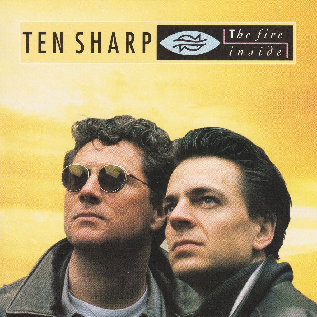 Album cover of The Fire Inside