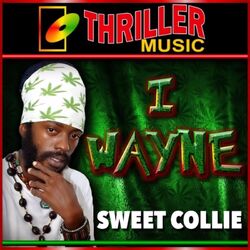 Cover of Sweet Collie