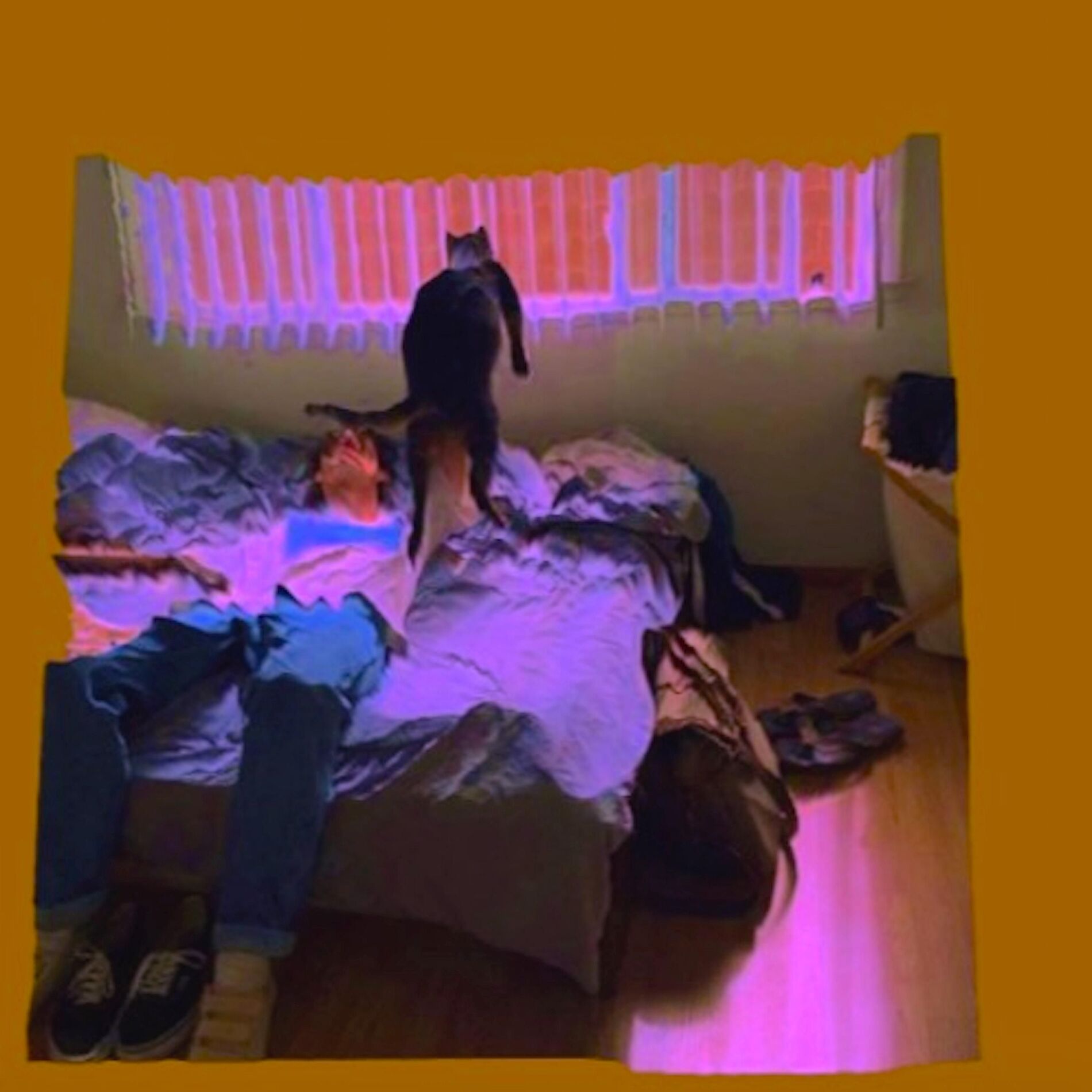 Album cover of You Say I'm in Love