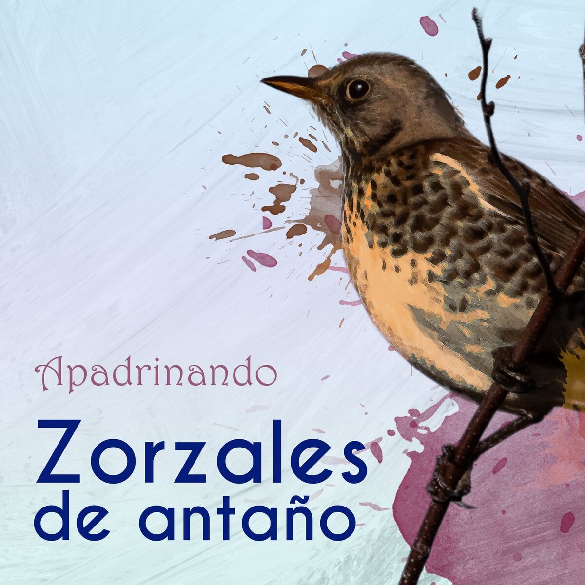 Album cover of Zorzales de Antaño… Apadrinando