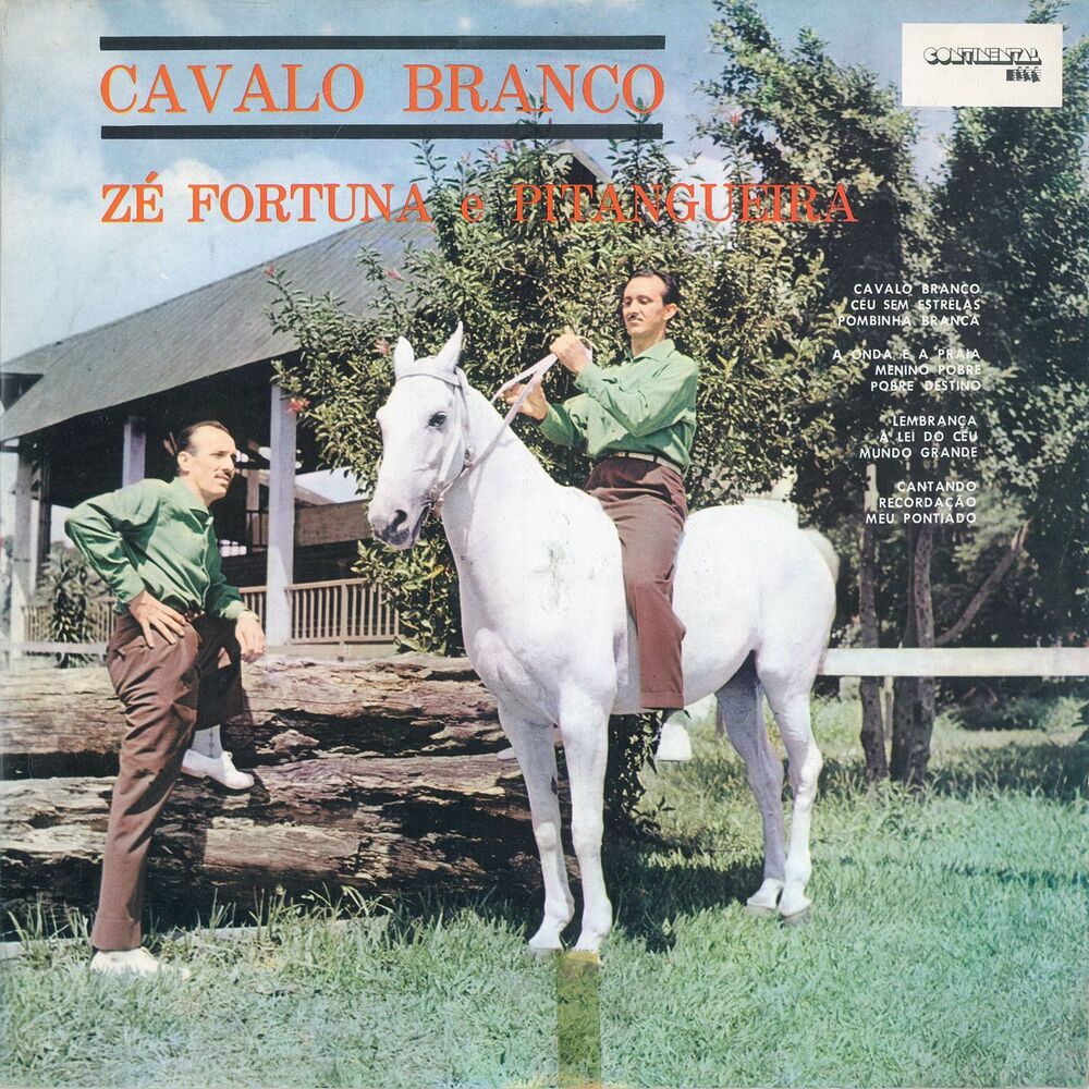 Picture of Cavalo branco