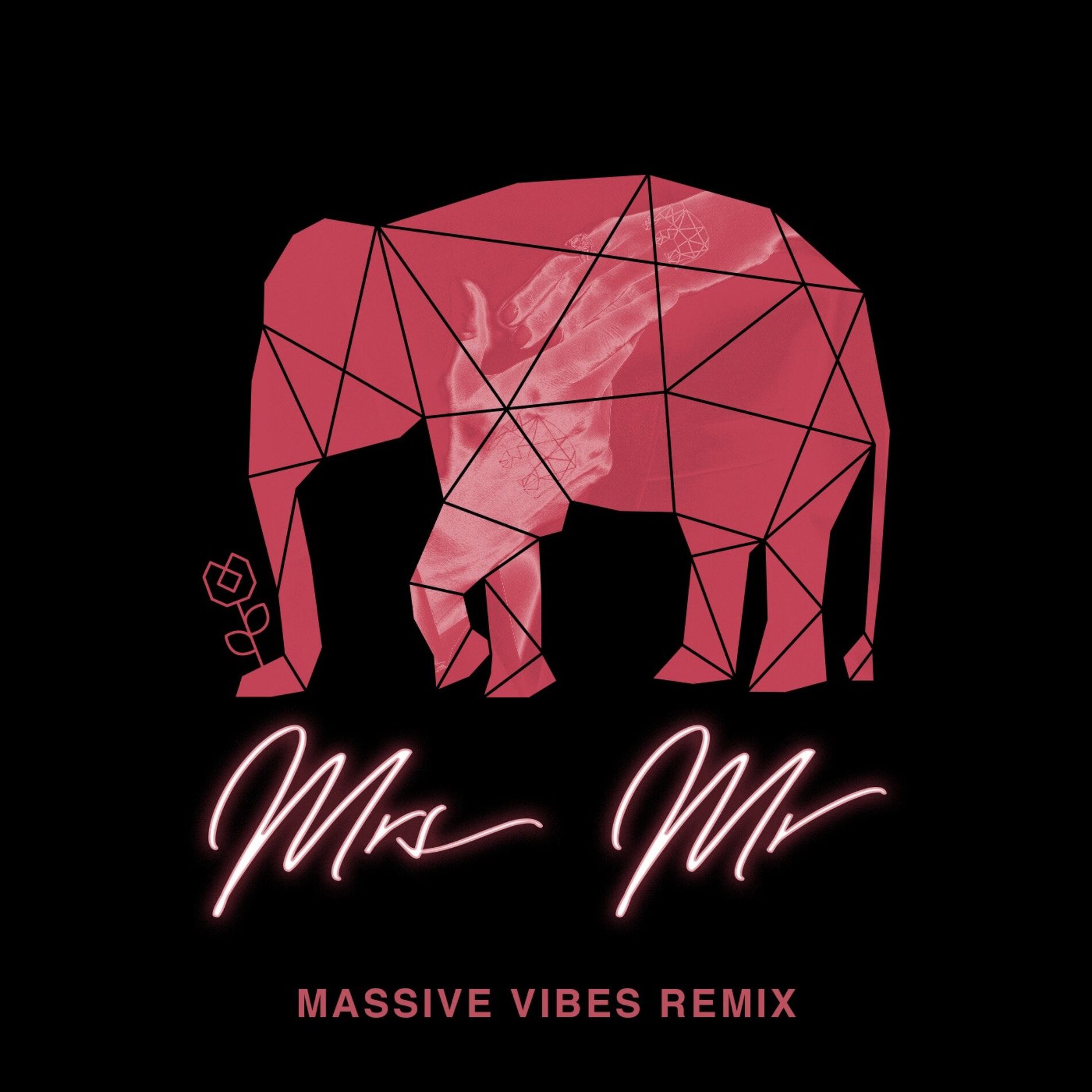 Album cover of Mrs Mr (feat. Lizzy Land) (Massive Vibes Remix)