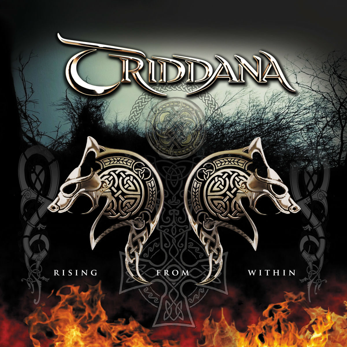 Album cover of Rising from Within