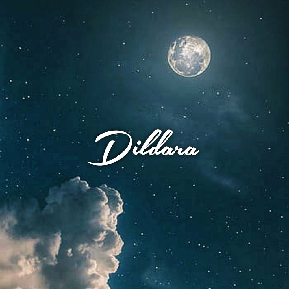 Album artwork for Dildara by TNSW