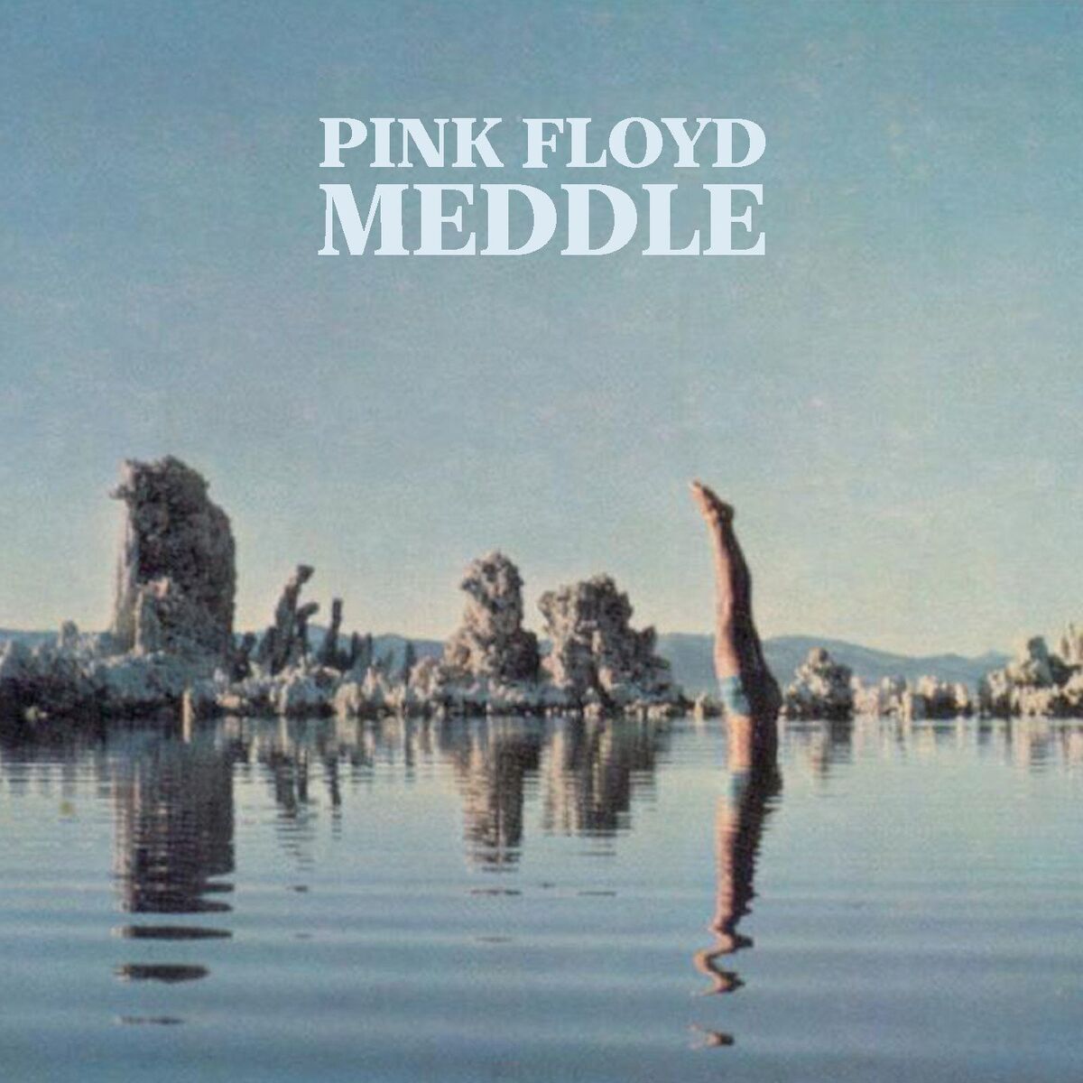 Album cover of Meddle