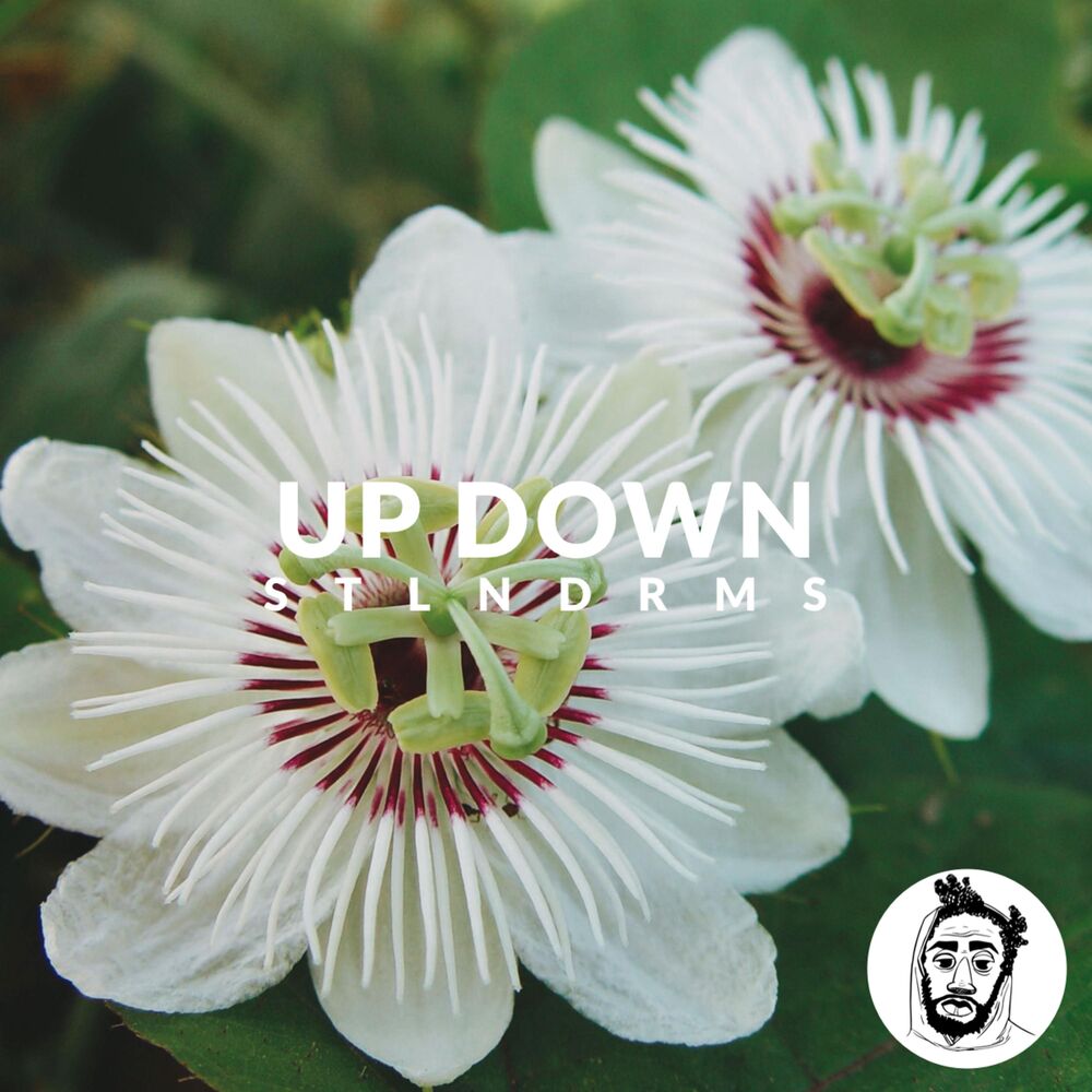 Picture of Up Down