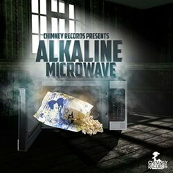 Cover of Microwave