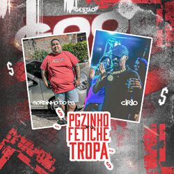 Cover of Pgzinho e o Fetiche da Tropa