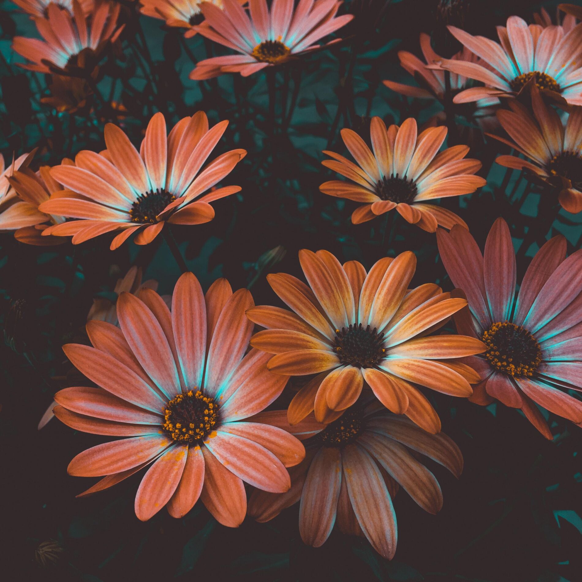 Album cover of I'm Still Waiting for a Sorry