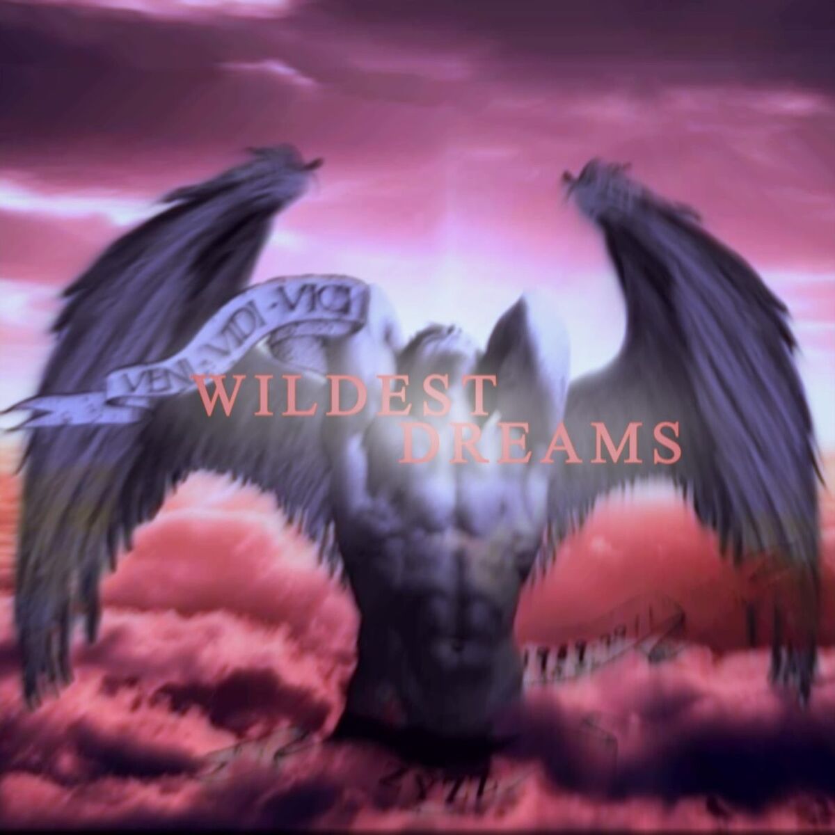 Album cover of Wildest Dreams (Let It Go)
