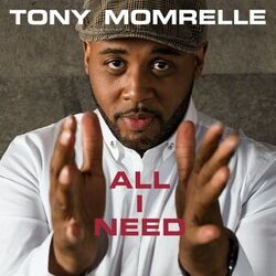 Cover of All I Need (Reel People Remixes)