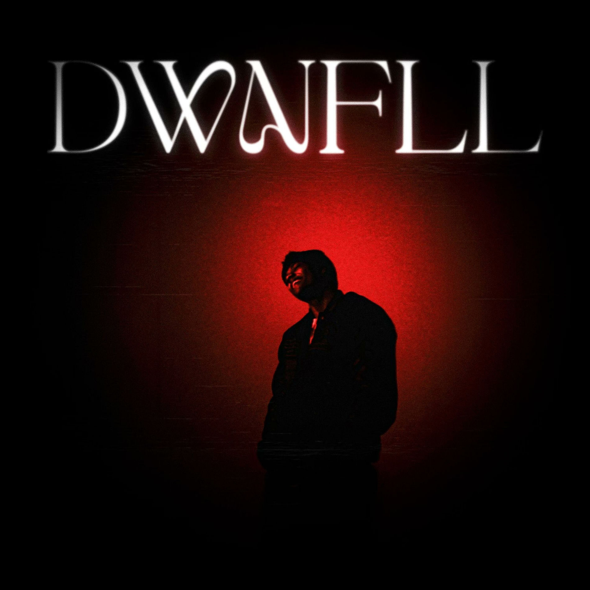 Album cover of DWNFLL