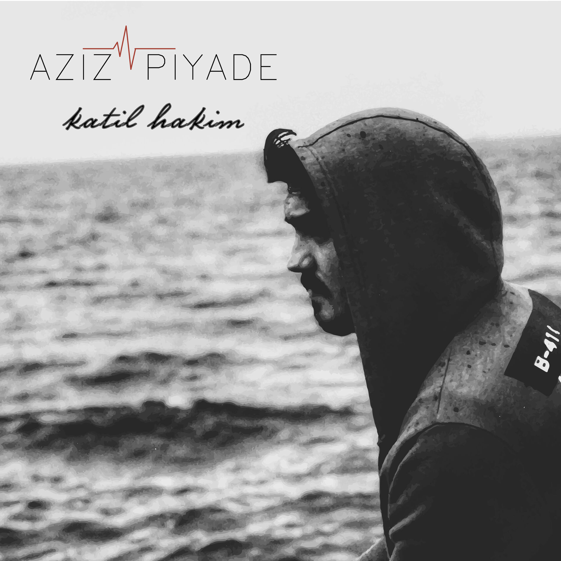 Album cover of Katil Hakim