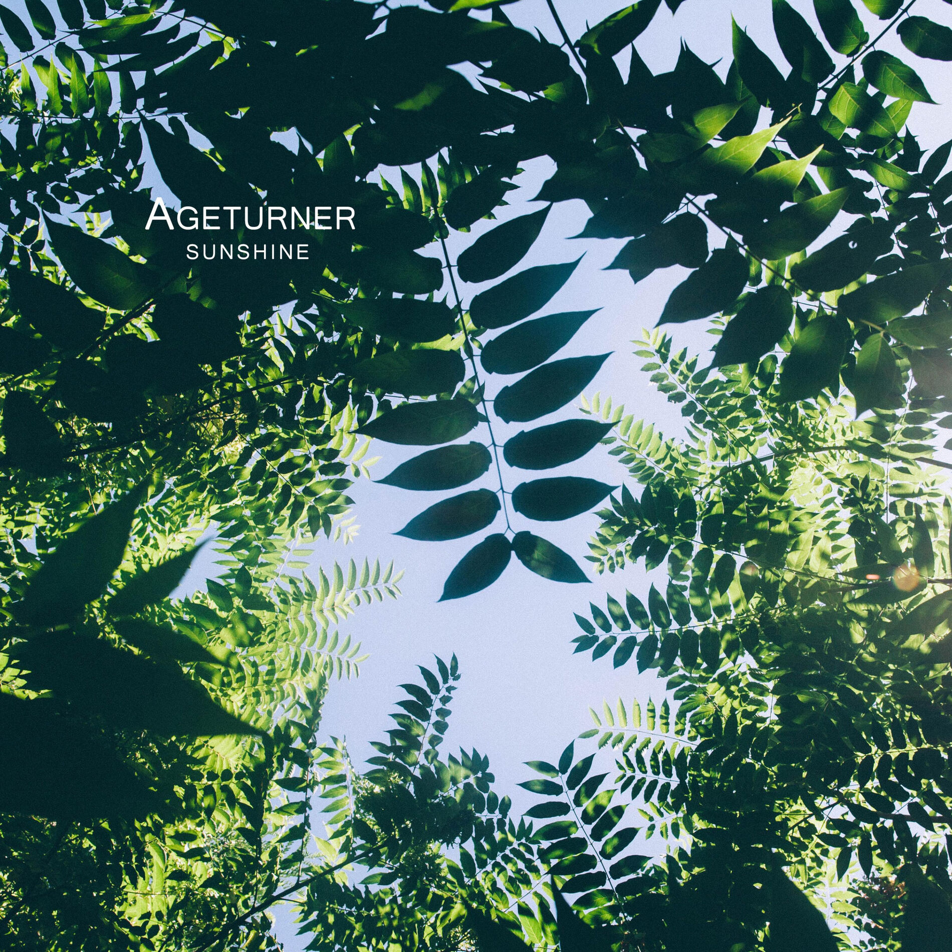 Album cover of Sunshine