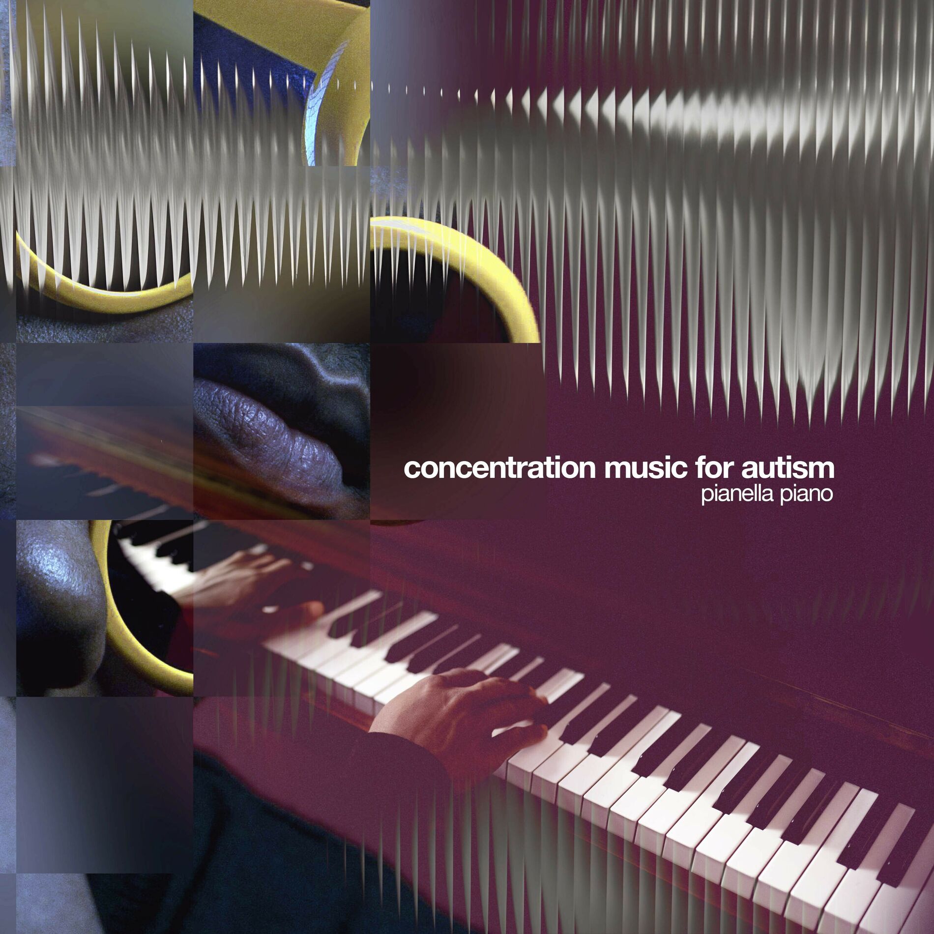 Album cover of Concentration Music for Autism