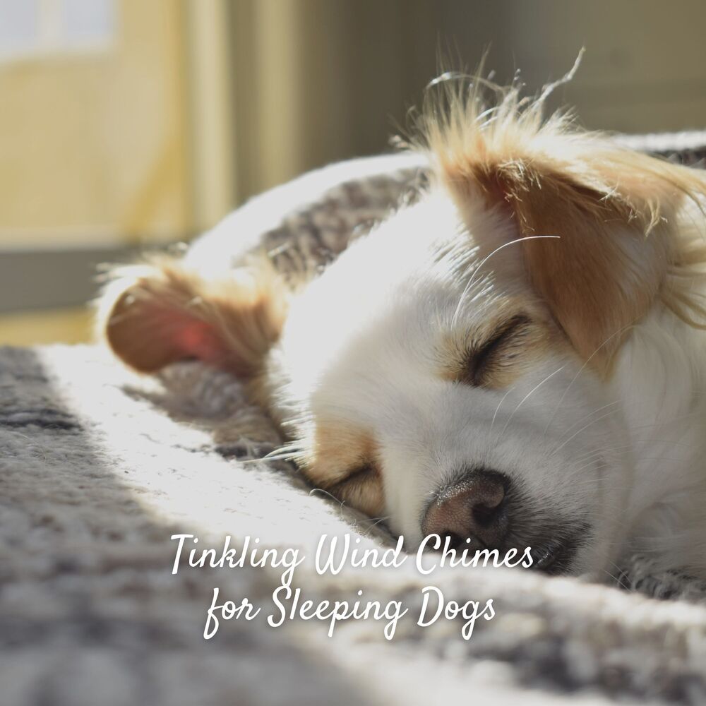 Picture of Tinkling Wind Chimes for Sleeping Dogs