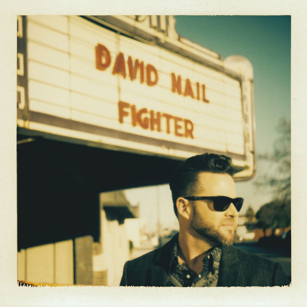 Picture of Fighter