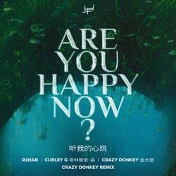 Cover of Are You Happy Now (Crazy Donkey Remix)