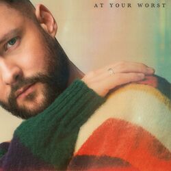 Cover of At Your Worst