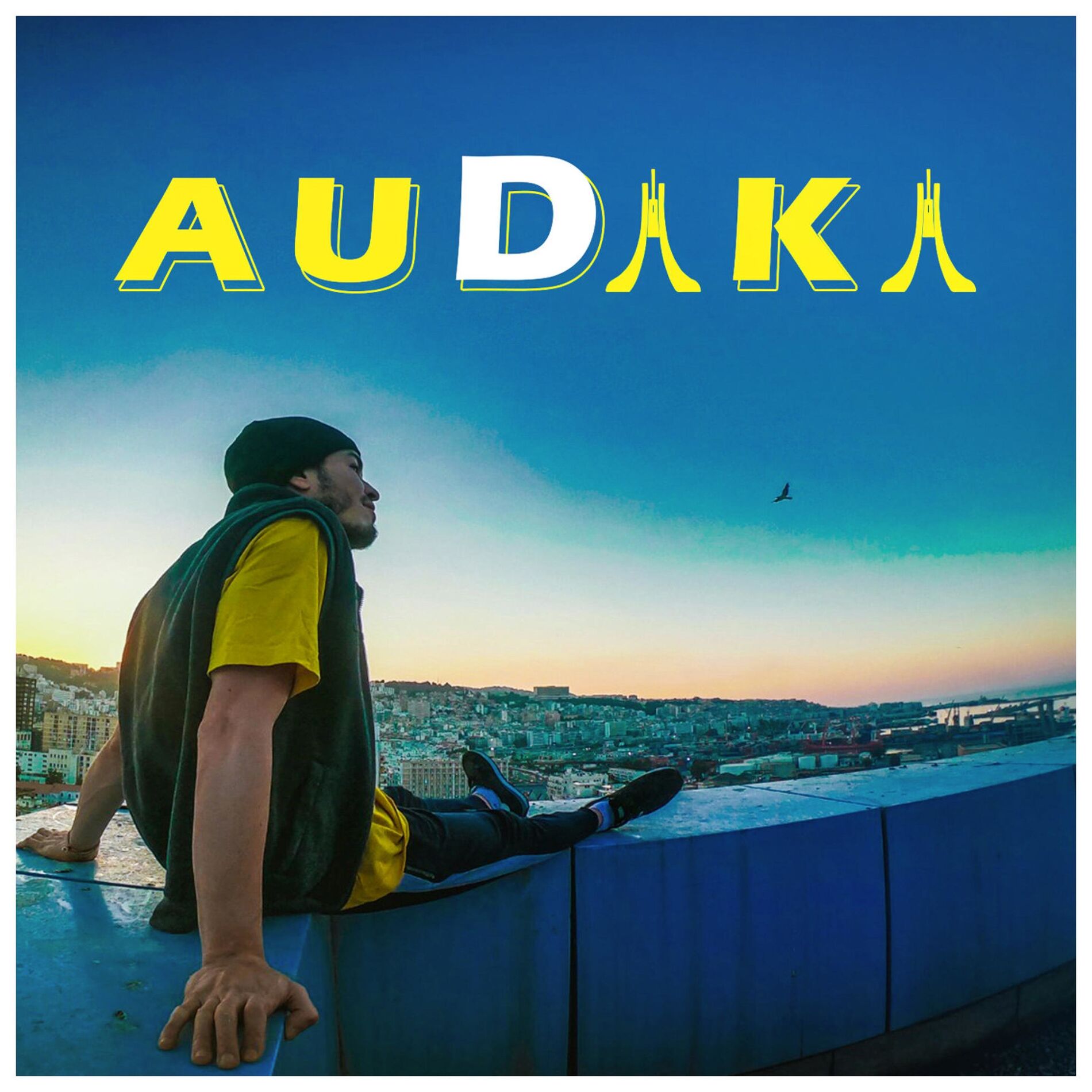 Album cover of AU DIKI