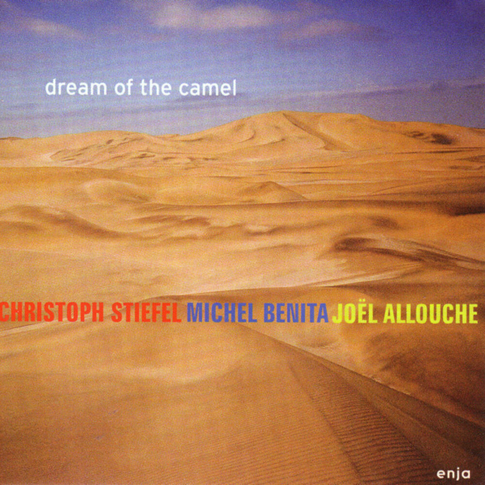 Picture of Dream Of The Camel