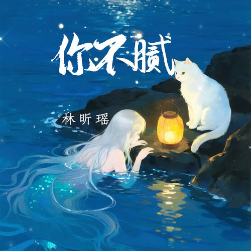 你不腻
