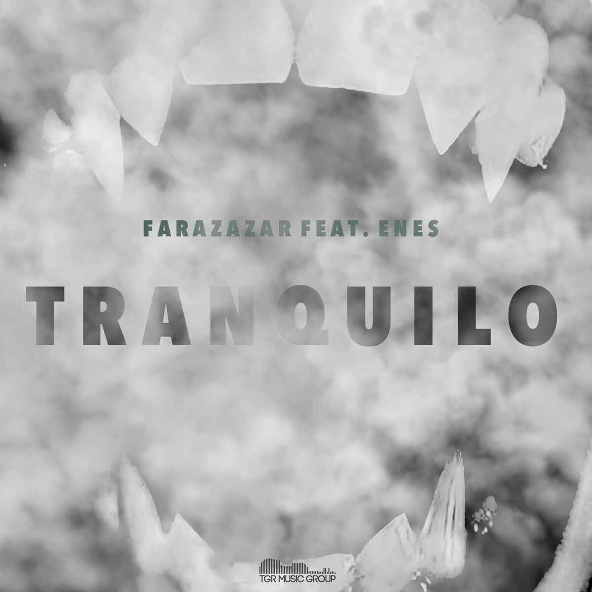 Album cover of Tranquilo