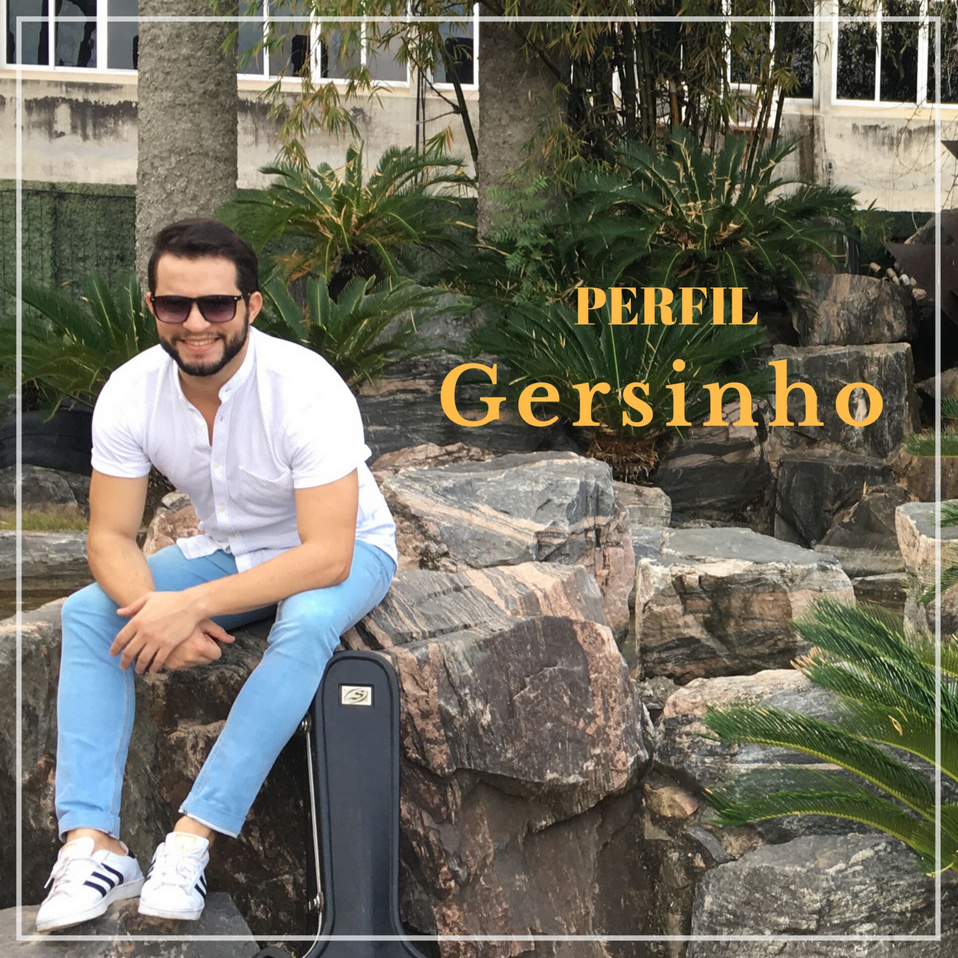 Album cover of Perfil