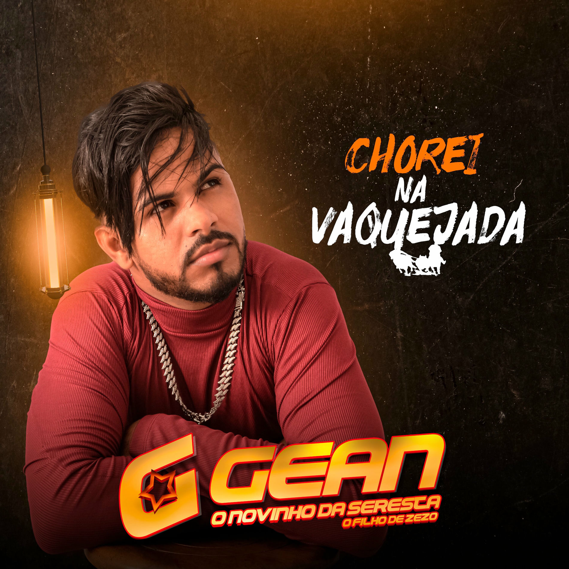 Album cover of Chorei Na Vaquejada