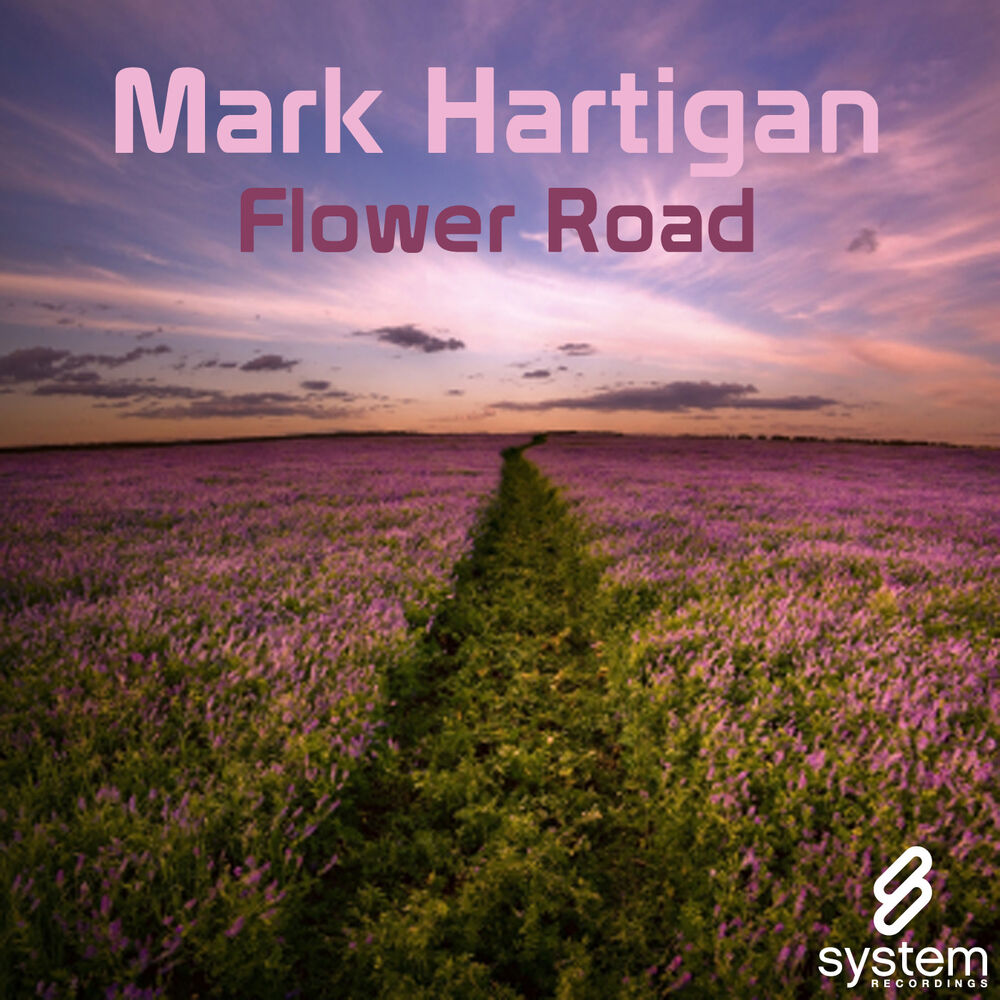 Picture of Flower Road