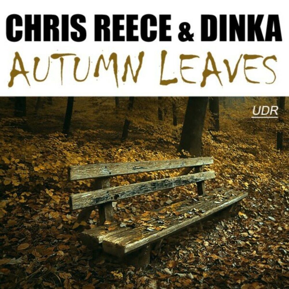 Picture of Autumn Leaves