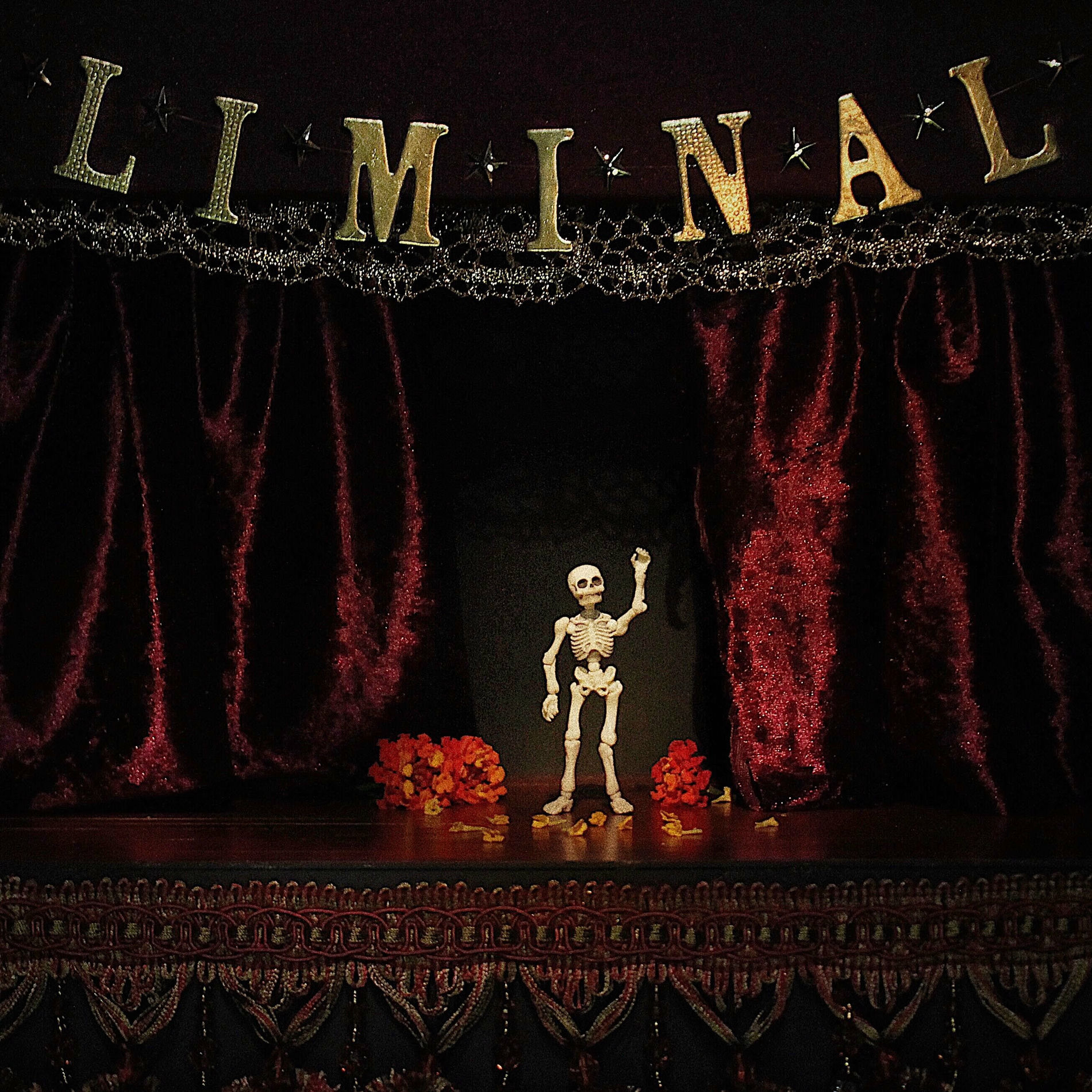 Album cover of Liminal