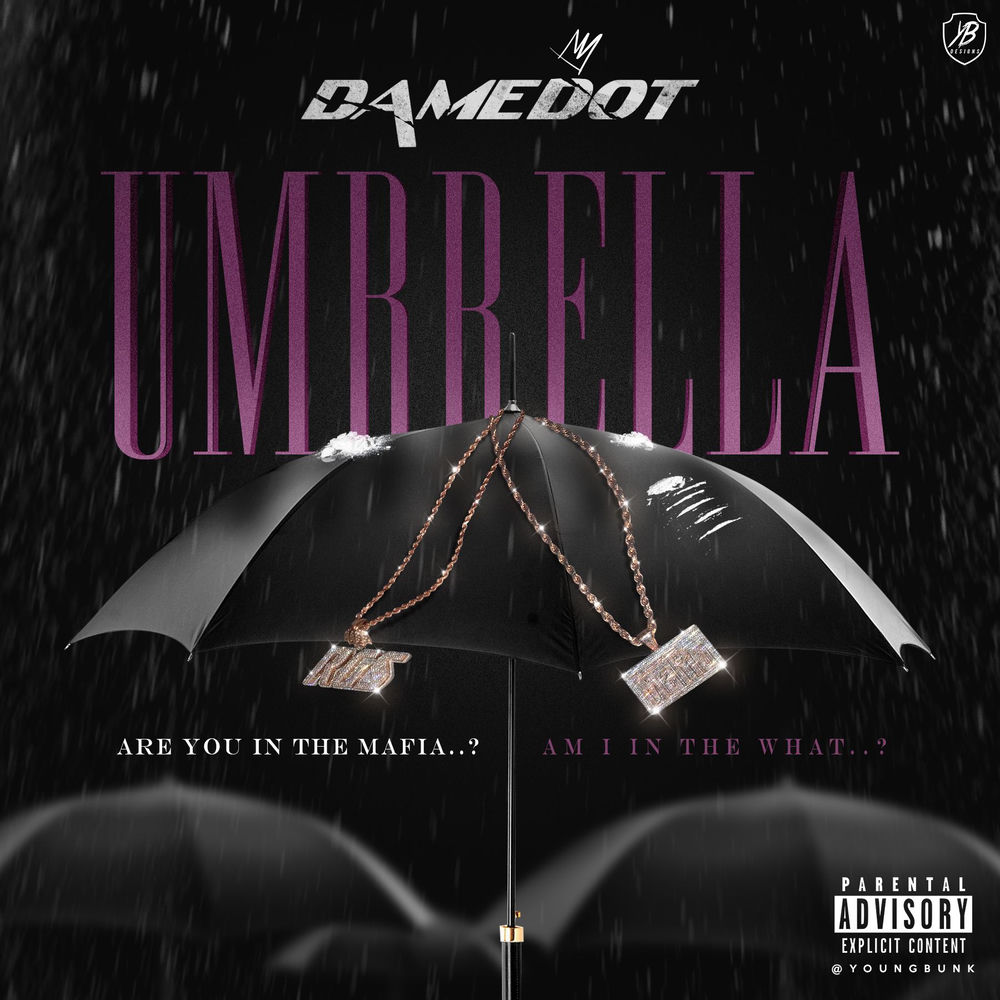 Pochette The Umbrella