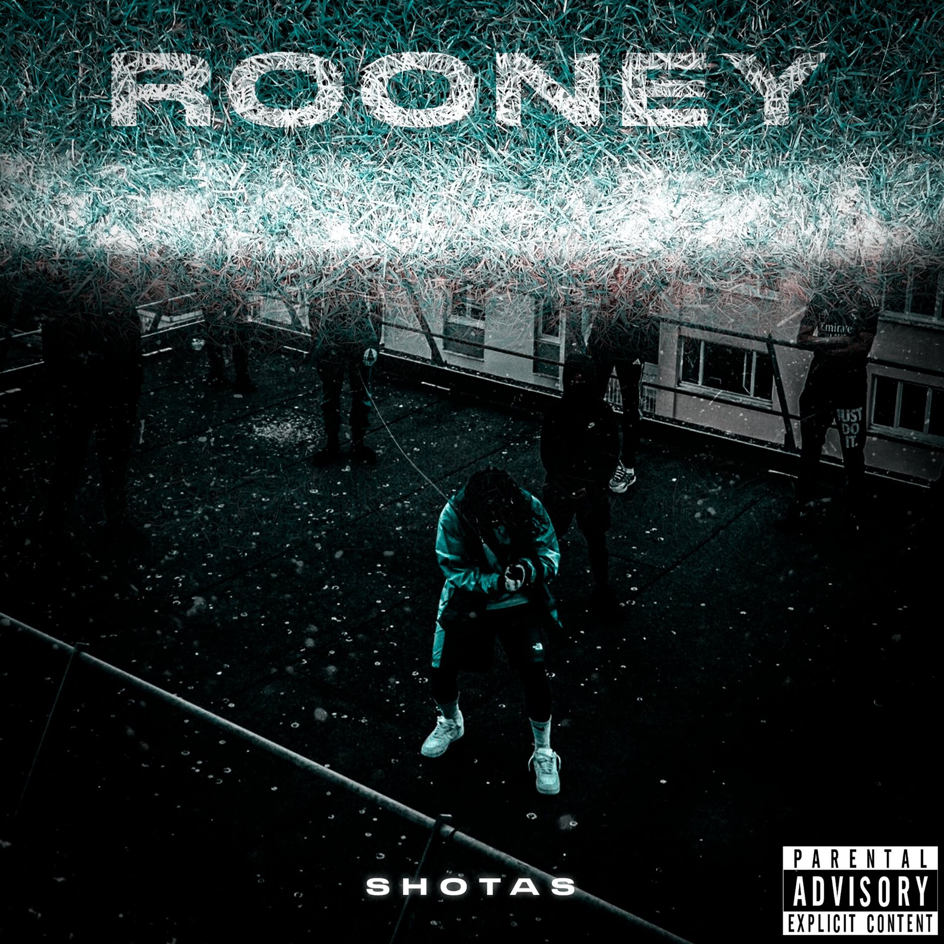 Album cover of Rooney
