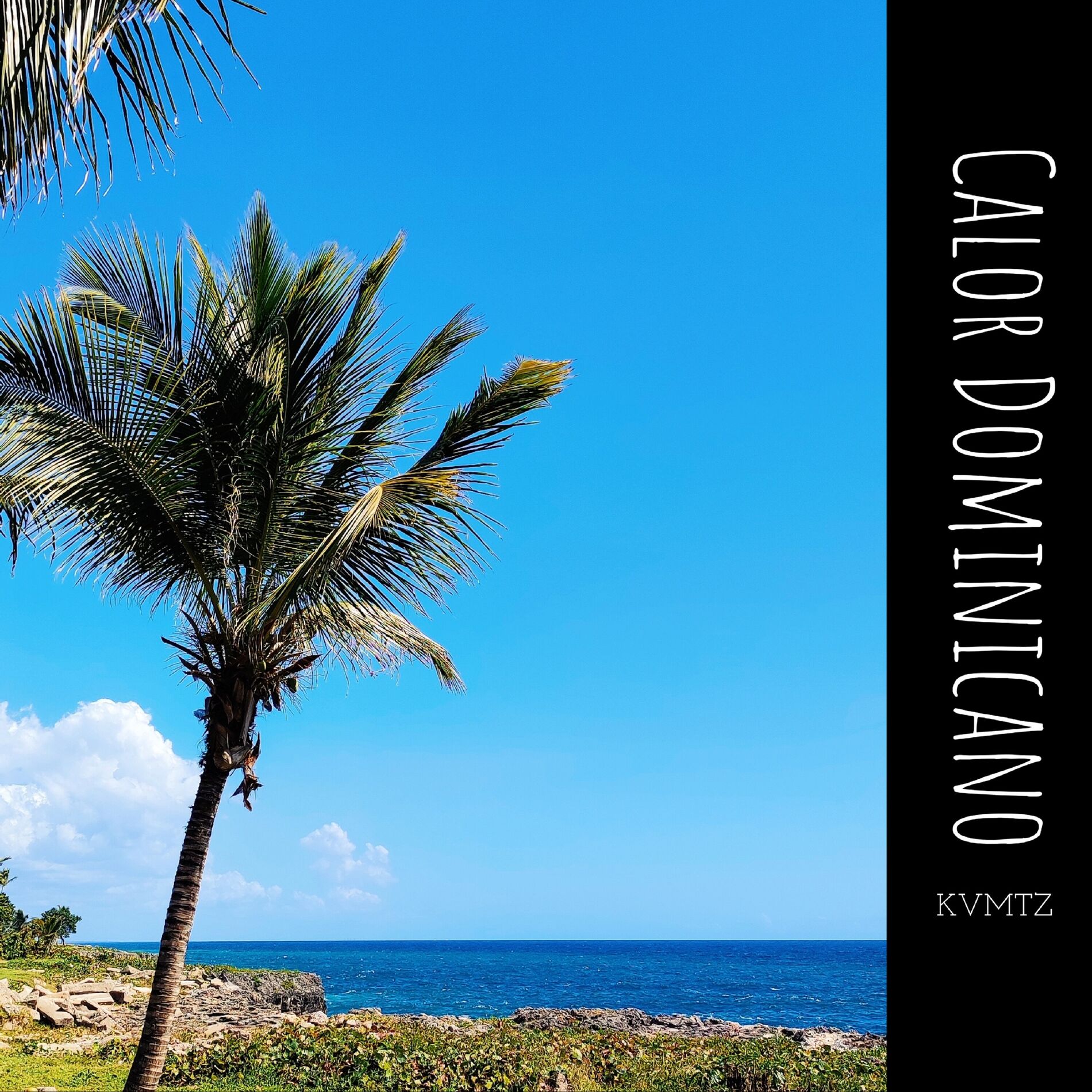 Album cover of Calor Dominicano