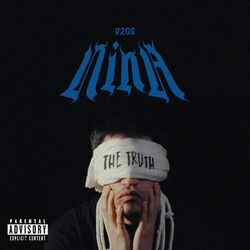 Cover of NINA