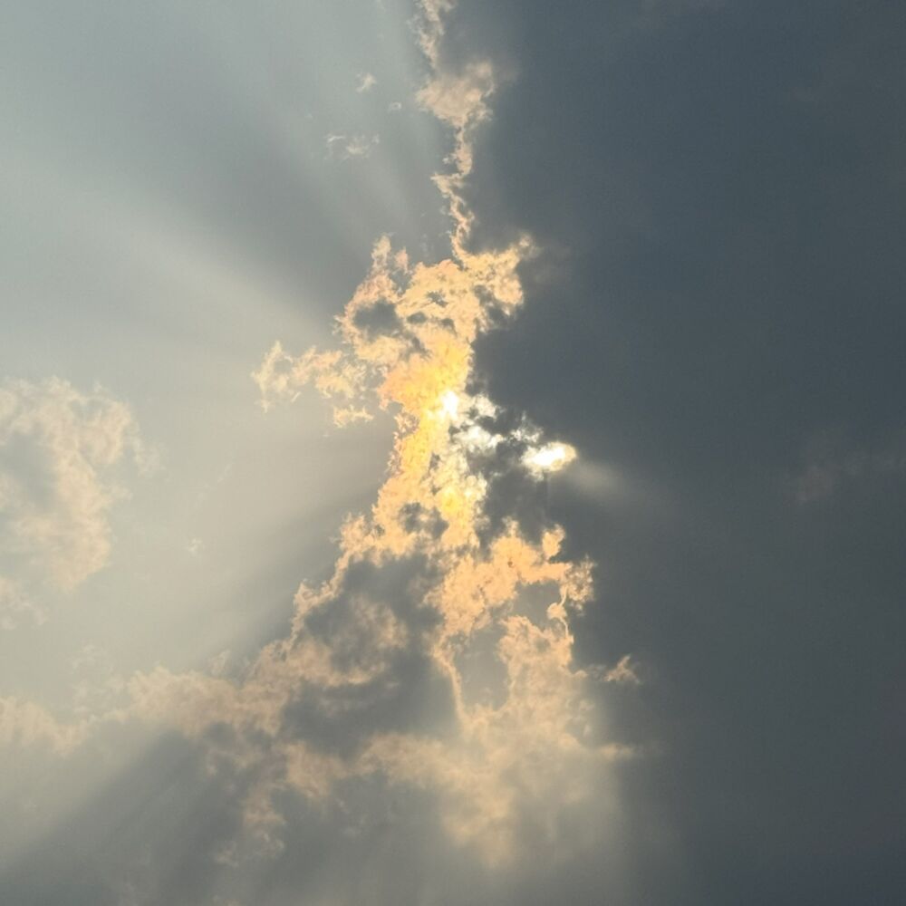 Picture of SUMMER DAYS