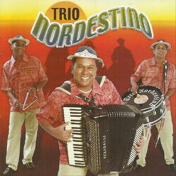 Cover of Meu Eterno Xodó